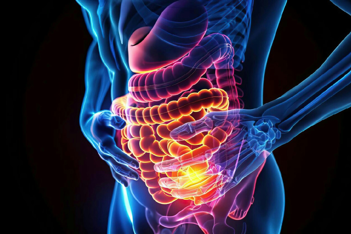 Eccesso di integratori di fibre: quando troppo rallenta il benessere e causa disturbi digestivi profondi