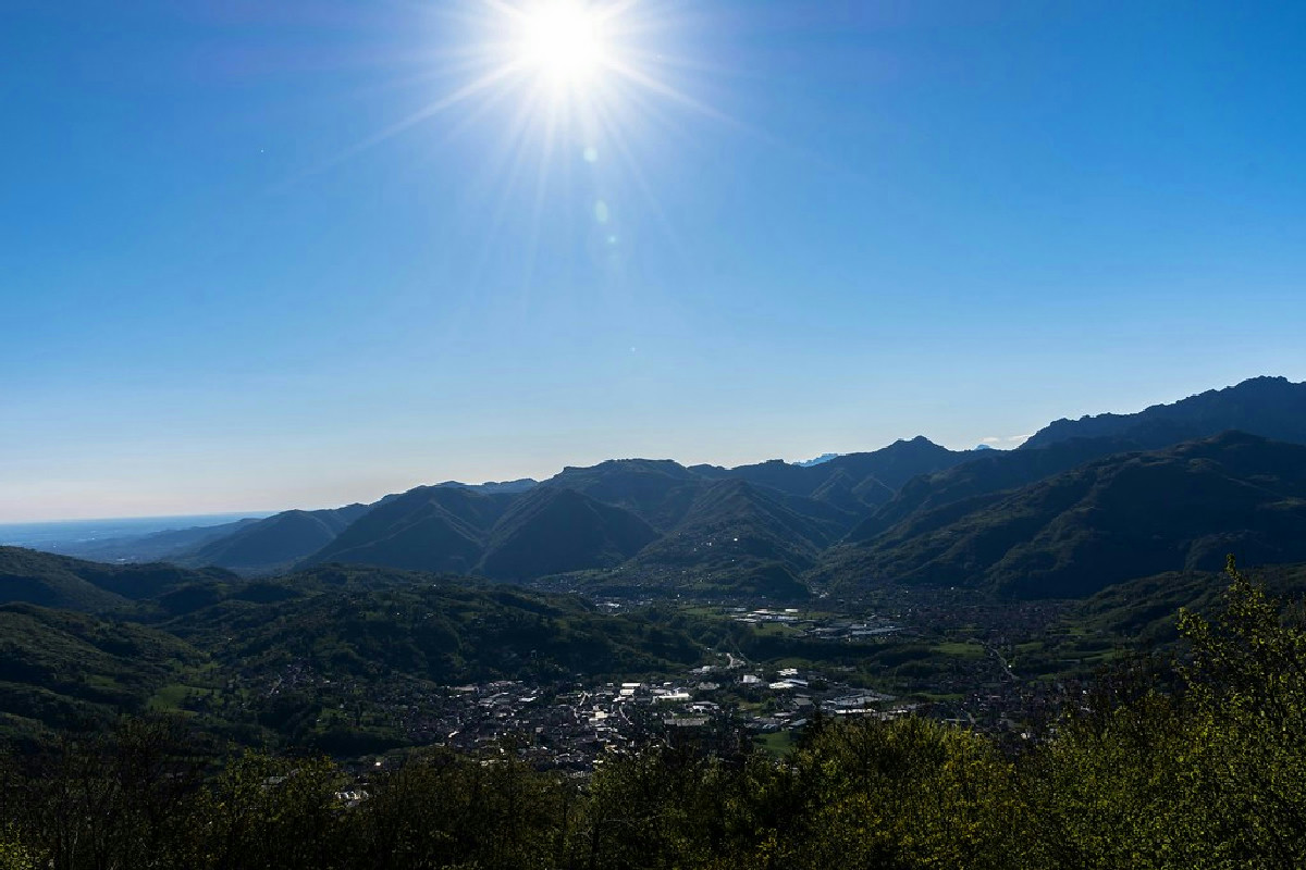 Ecco il gesto che trasforma la fioritura: fiori spettacolari e colori vivaci che durano mesi