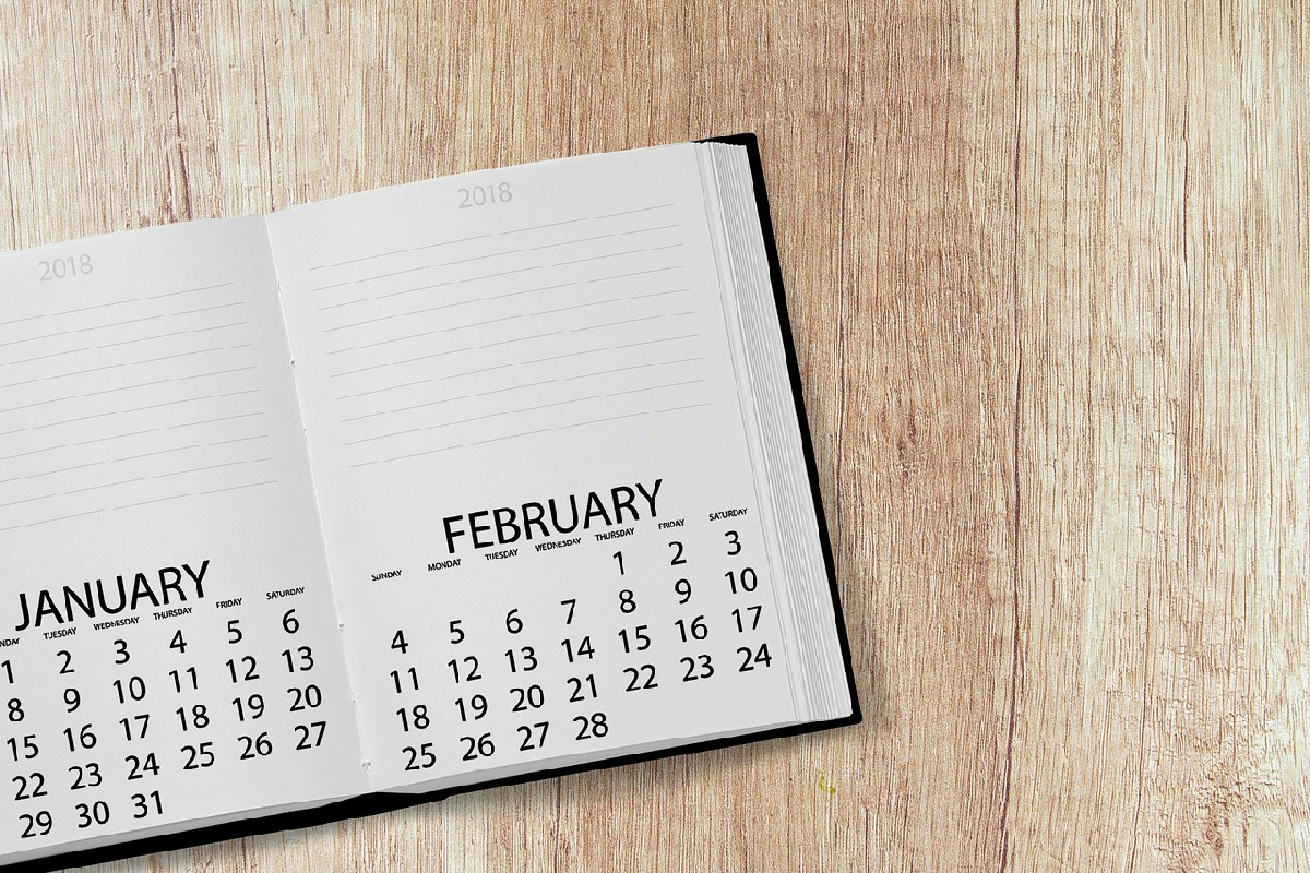 Il periodo ideale per potare il fico e favorire raccolti di frutti abbondanti e sani