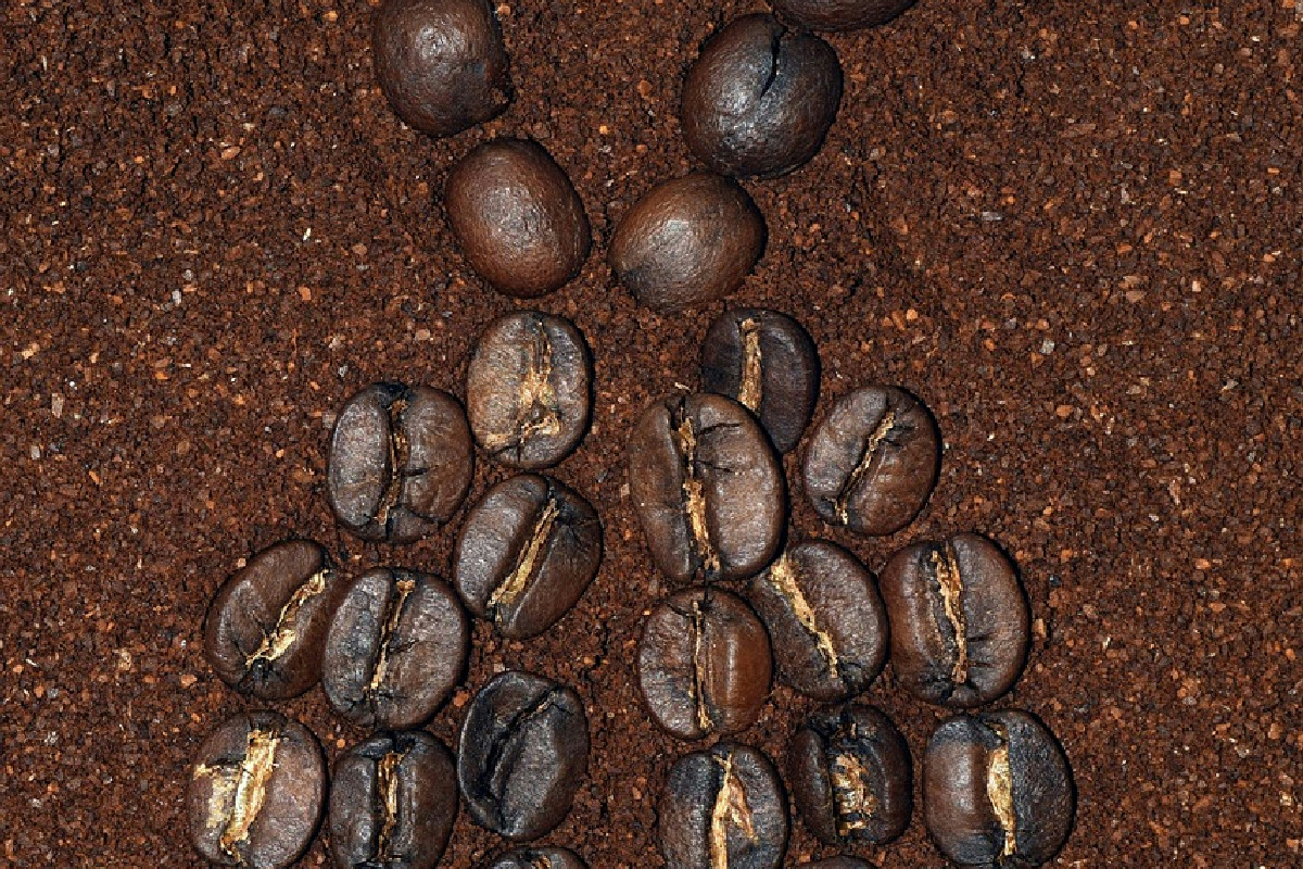 Il segreto naturale per migliorare la crescita delle piante nel giardino con un semplice trucco al caffè