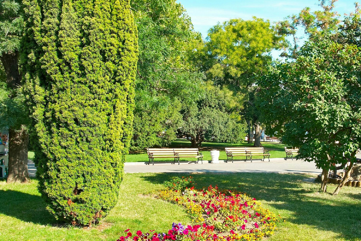 Il segreto naturale per migliorare la crescita delle piante nel giardino con un semplice trucco al caffè