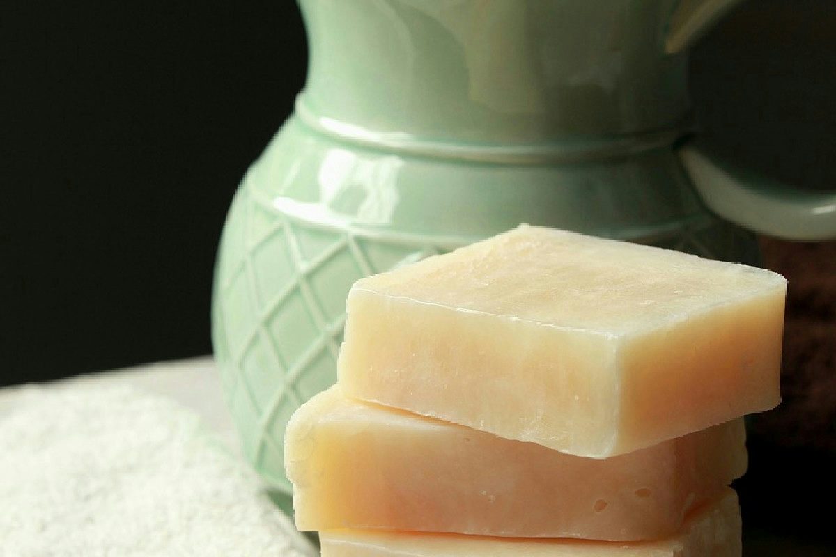 Semplice rimedio naturale per eliminare i pidocchi verdi dalle piante del balcone senza fatica