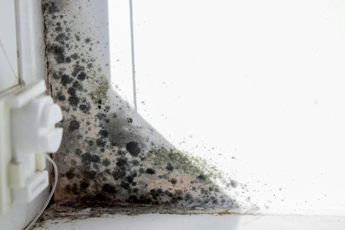 Umidità e muffa in casa durante l’inverno: come prevenirle e trattarle con metodi efficaci